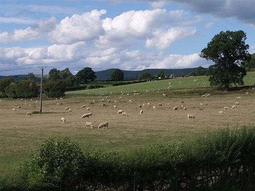 Dove Meadow Bed & Breakfast Denstone Buitenkant foto