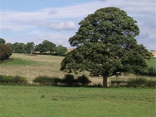 Dove Meadow Bed & Breakfast Denstone Buitenkant foto